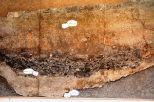 長屋王邸のごみ捨て場の断面。木簡などが刺さっている