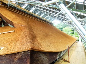 檜皮の葺き替えが終わった本殿の屋根