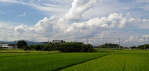 今年度、発掘調査が行われる瓢箪山古墳