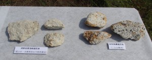 大極殿跡から見つかった凝灰岩の破片。二上山産と竜山石の２種類があった