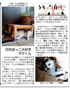 うちのコ自慢の掲載紙面