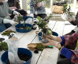 馬見丘陵公園コケ玉づくり体験教室