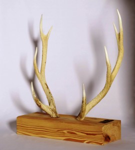 鹿の角で作られた刀置き（奈良市提供）