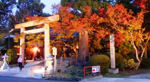 見ごろを迎えた等彌神社の紅葉。左は「内宮鳥居」