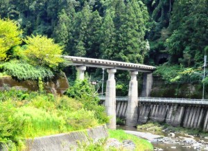 森林地帯に突然巨大な構造物が現れる