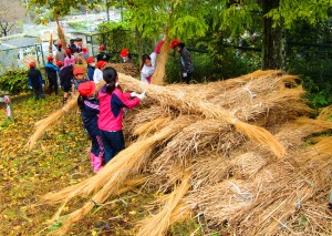 新しく氷室の屋根に葺く茅を運ぶ児童ら