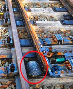 電車の進行方向を変えるポイントに挟まったカメ(JR西日本提供)