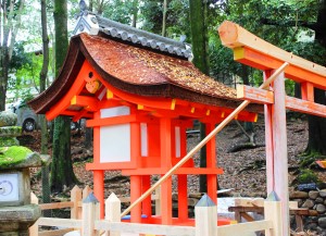 ２０年ぶりの修理がほぼ終わった祓戸神社