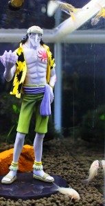 フィギュアの周りをスイスイ泳ぐ熱帯魚