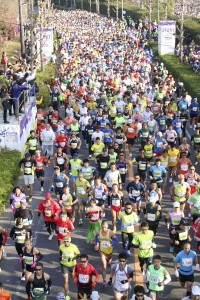 「奈良マラソン２０１５」で一斉にスタートするランナー（奈良マラソン実行委員会提供）
