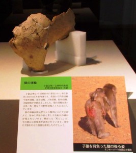 小猿を背負った母猿を表現した埴輪の一部