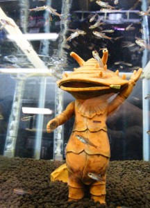 怪獣のフィギュアの周りをスイスイ泳ぐ熱帯魚