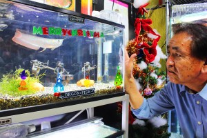 〝クリスマス仕様〟の水槽内を泳ぐアロワナを眺める宮本忠良さん