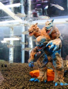 怪獣のフィギュアの周りをスイスイ泳ぐ熱帯魚