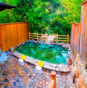 自然豊かな景色と温泉が楽しめる公衆浴場「泉湯」（十津川村提供）