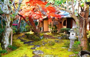 中庭は石畳が敷かれ、夫妻の居室と茶室を結んでいる