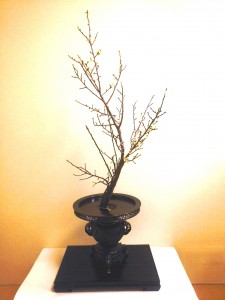 1月9日掲載 未生流