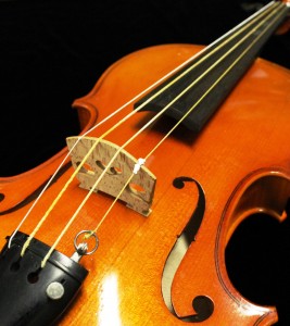 クモの糸で制作したバイオリンの弦。１本あたり１万５千本の天然のクモの糸が使われている。