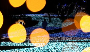 ６日に行われた試験点灯の様子