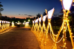 光のオブジェで照らされた奈良公園（昨年）