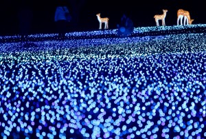 ６日に行われた試験点灯の様子