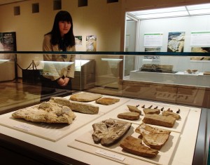 漆喰が付いた真弓テラノマエ古墳の平瓦など