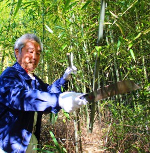 のこぎりを使って茶筌の材料となる淡竹を切る参加者