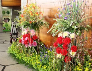県庁de春の花をアレンジ３