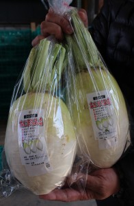 「大和アグロファーム」が手がけた「あじまるみ大根」。丸みのある形が特徴でスジが少なく、食べやすい