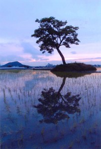 写真の部で最優秀賞を受賞した「夕暮の古宮土壇」