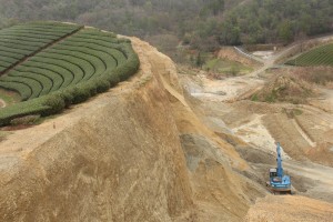 現場の山林は斜面が削られ、切り立った崖が隣接する茶畑に迫っている