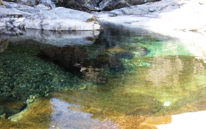 底のほうまで澄み切っている御手洗渓谷の川。エメラルドグリーンともいわれる深い緑色をしている