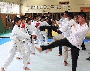 空手の稽古で交流を深める磯城野高と台湾の生徒