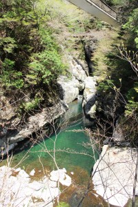 吊り橋からは周囲の山々と美しい川の流れを間近に楽しめる