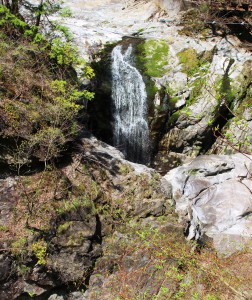 御手洗渓谷には大小さまざまな滝が流れ、美しさと迫力ある姿を楽しめる