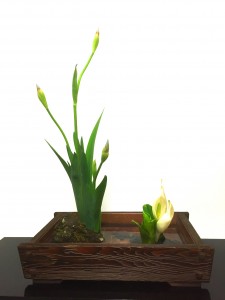 ４月１６日掲載　華道未生後流