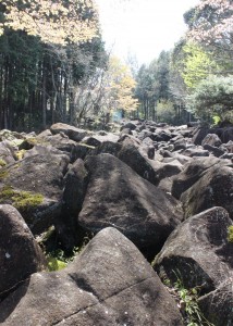 黒い岩々が谷を埋める鍋倉渓の景観