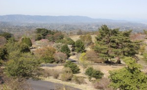 めえめえ牧場付近からの展望