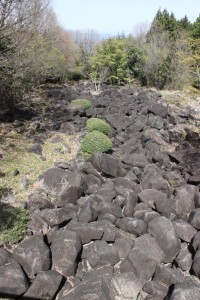 黒い岩々が谷を埋める鍋倉渓の景観