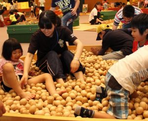 「ひのきのたまごプール」で遊ぶ子供たち