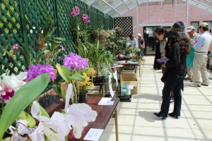 会場では植物を展示販売する園芸市も開かれた