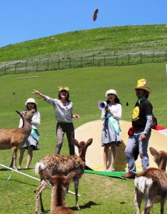 勢いよく鹿せんべいを投げる参加者。その様子にシカも注目
