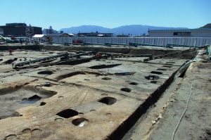 大型建物跡などが見つかった発掘現場。柱穴が直線的に並ぶ