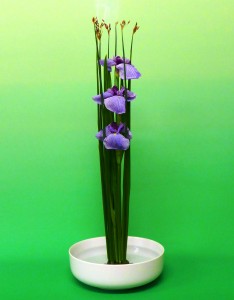 5月14日掲載 一光流