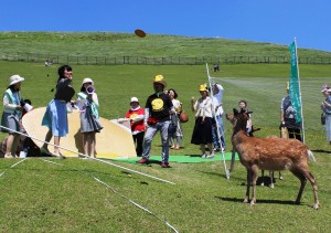勢いよく鹿せんべいを投げる参加者。その様子にシカも注目