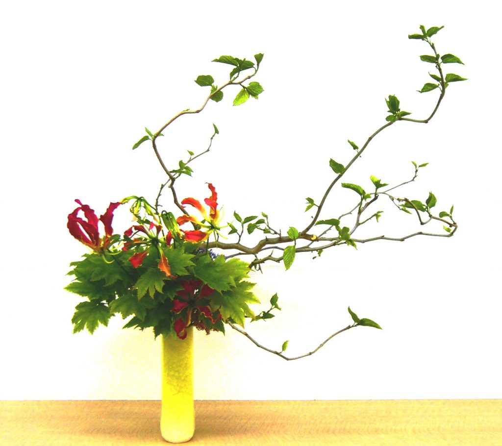 6月11日掲載 御室流