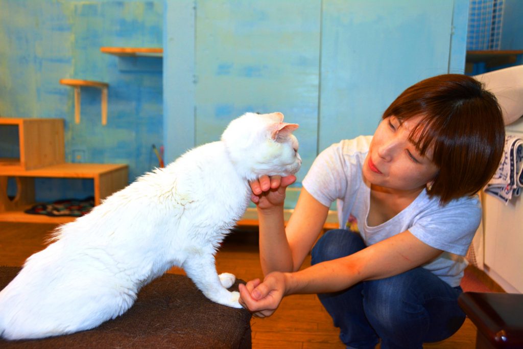 「殺処分ゼロ」を目指して活動を続ける澤江奈緒子さん