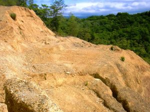 斜面には雨水によって削られてできた溝が複数できていた＝５月１６日、奈良市月ケ瀬（県提供）