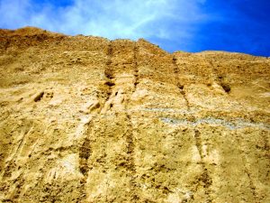 斜面には雨水によって削られてできた溝が複数できている＝５月１６日、奈良市月ケ瀬（県提供）