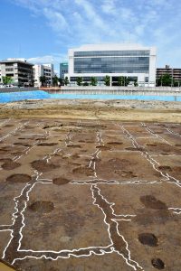 奈良署跡で見つかった弥生時代前期の水田遺構。畔によって細かく区画されている=奈良市(橿原考古学研究所提供)